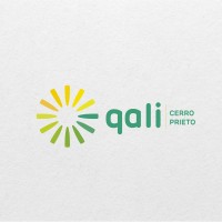 Qali Cerro Prieto S.A.C logo - Similar company to Domotco Energy