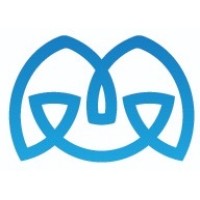 Maadi Virtual Solutions logo - Similar company to Maadi Plotting Center