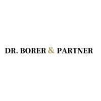 Dr. Borer & Partner logo - Similar company to Ignitech Gmbh