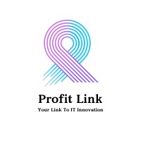 Profit Link logo - Similar company to Profit Link