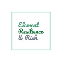 Element Resilience and Risk Consulting Services logo - Similar company to Manatee, Inc.