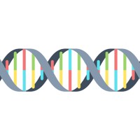 DNAtestZeeland logo - Similar company to Igene Bv