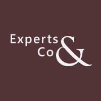 Experts & Co logo - Similar company to Conex