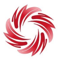 CodeSynergy logo - Similar company to Best Practice Data