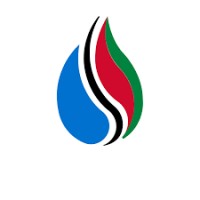Grupo Petromar logo - Similar company to Combustibles Jacmar