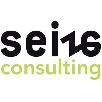Seize Consulting logo - Similar company to Ispa Consulting
