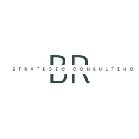 BR Strategic Consulting logo - Similar company to Sustainable Impact Partners