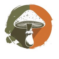 ShroomaNova logo - Similar company to Marabanu
