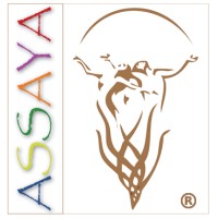 Sistema Assaya