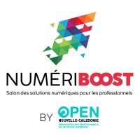 Numériboost logo - Similar company to Master Sms