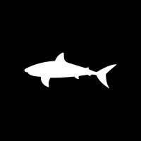 Bullshark logo - Similar company to Nexora Tech
