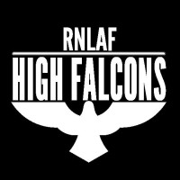 HighFalcons logo - Similar company to Stop The Scammers They Are Killing This Industry