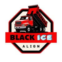 Black Ice Align logo - Similar company to Digital South Communications, Inc.