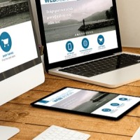 Casafrique | Agence Web Africaine logo - Similar company to Casafrique