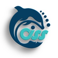 CISS GROUP logo - Similar company to Ciss It Training