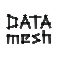 DATA mesh logo - Similar company to Data Ethics Llc