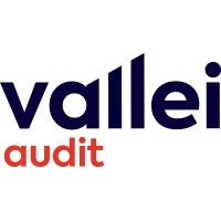 Vallei Audit logo - Similar company to Vallei Control & Navigate