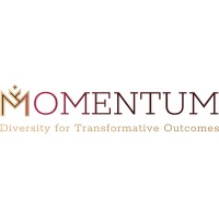 Momentum Series logo - Similar company to Luminant Analytics