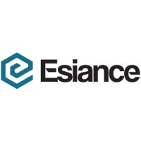 Esiance logo - Similar company to Pledgr