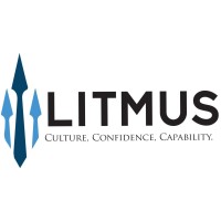 LITMUS logo - Similar company to Spearpoint Solutions Llc
