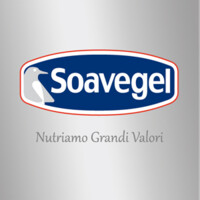 Soavegel S.r.l. logo - Similar company to Sf Consulting