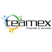 TEAMEX logo - Similar company to Logic Intérim Vendée