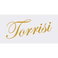Torrisi logo - Similar company to Freshspace Media (Formerly Boxtop Media)