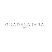 Guadalajara MP logo - Similar company to Motion Webhosting