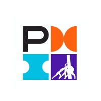 PMI® Goiás Chapter logo - Similar company to Pmidf
