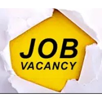 hiring agency logo - Similar company to Bluestrides