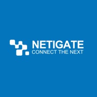 NETIGATE 網聯科技 logo - Similar company to Kokozi Co., Ltd.