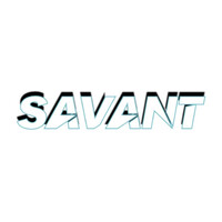 The Savant Media logo - Similar company to Savant Artists