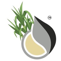 Dwarikesh Sugar Industries Ltd logo - Similar company to Mkommconseil | Coach 360° Externalisé Mentorat