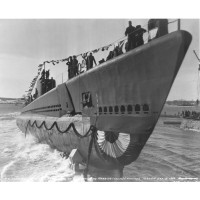 World of Submarines logo - Similar company to Ilve Denmark A/S