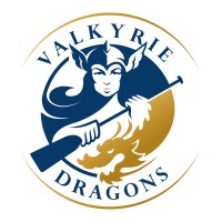 Valkyrie Dragons logo - Similar company to Coast To Coast Fulfillment