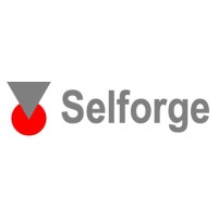 Selforge Technologies Ltd. logo - Similar company to Selforg Consulting - Licensed Gtd, Holacracy® Provider