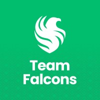 Team Falcons logo - Similar company to محلي | Mahally