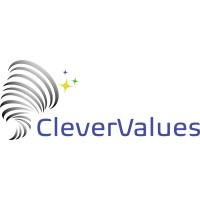 CleverValues logo - Similar company to Valit