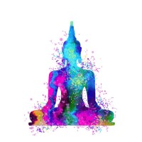 Nirvana Wellness Centre logo - Similar company to Stay Active Rehabilitation
