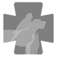Clínica Veterinària Vil·la Amèlia logo - Similar company to Clínica Veterinária De Alcochete