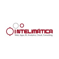 Intelimática Soluciones Informáticas S.A. de C.V. logo - Similar company to Wiggi