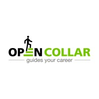 Open Collar - guides your career logo - Similar company to Rebel Works Hr