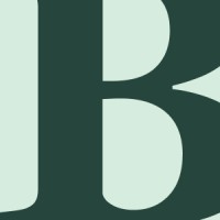 Branches logo - Similar company to Bjerk