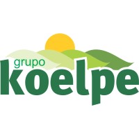 Grupo Koelpe logo - Similar company to Log Brasil
