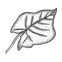 Greenden logo - Similar company to Brained.