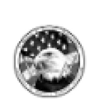 S Wright & Associate Technologies