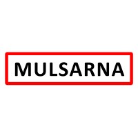 Mulsarna logo - Similar company to Cloud2020