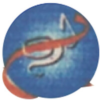 Dipco International logo - Similar company to Marine Learning Systems By Ripple Operations