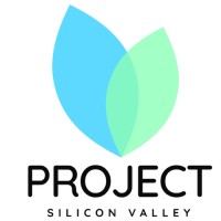 Project Silicon Valley logo - Similar company to Interntechconnect