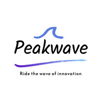 Peakwave Consultancy logo - Similar company to Wouter.